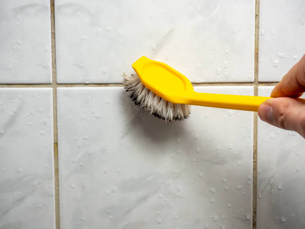 Best Attic Mold Removal  in Merrillville, IN