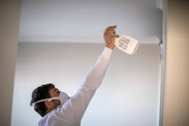 Best Affordable Mold Removal  in Merrillville, IN